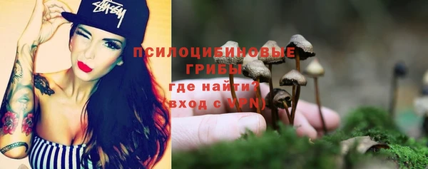 дурь Абинск