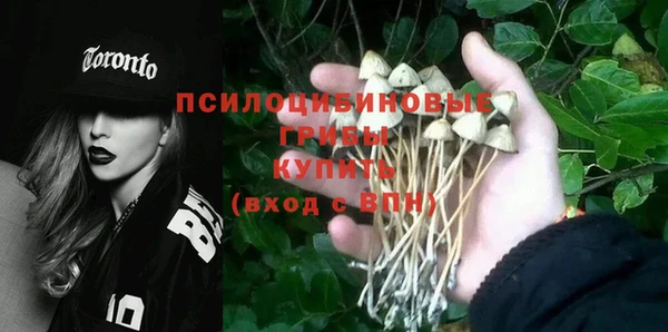 прущие крисы Алзамай