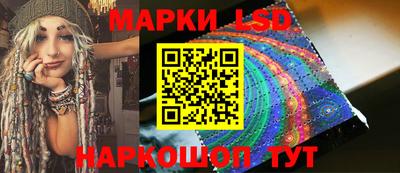 индика Ставрополь