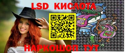 индика Ставрополь