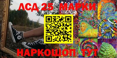 индика Ставрополь