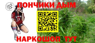 индика Ставрополь