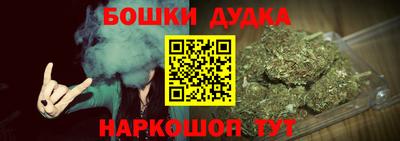 индика Ставрополь
