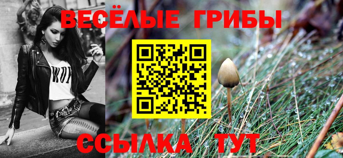Псилоцибиновые грибы Psilocybine cubensis  Псилоцибиновые грибы Psilocybe  Вход с VPN  Переславль-Залесский 